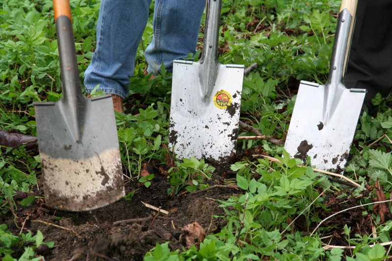 pepiniere-CORRENS-min_work-lawn-flower-tool-green-backyard-1103633-pxhere.com